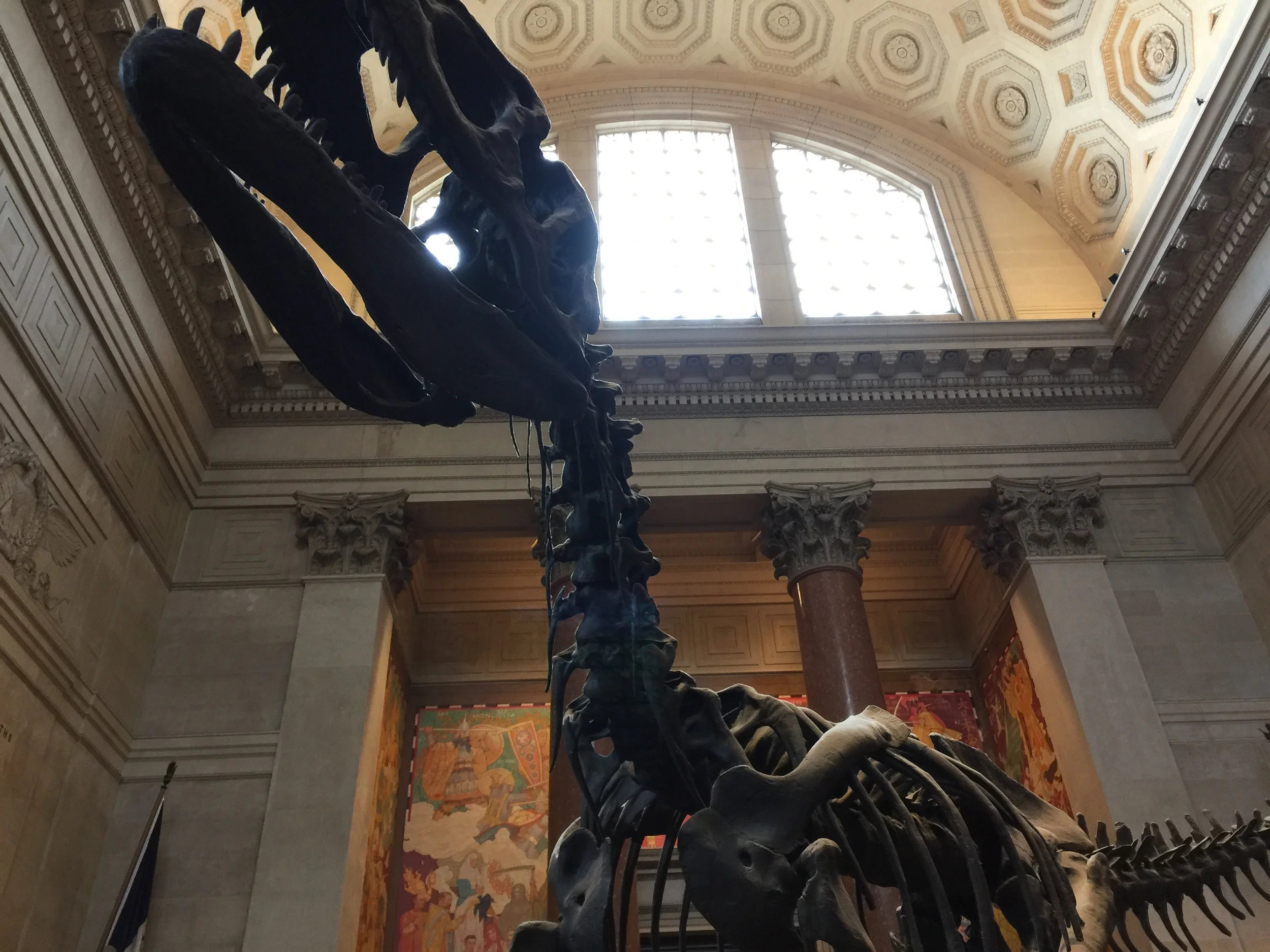 Walking With Dinosaurs at the Museum of Natural History