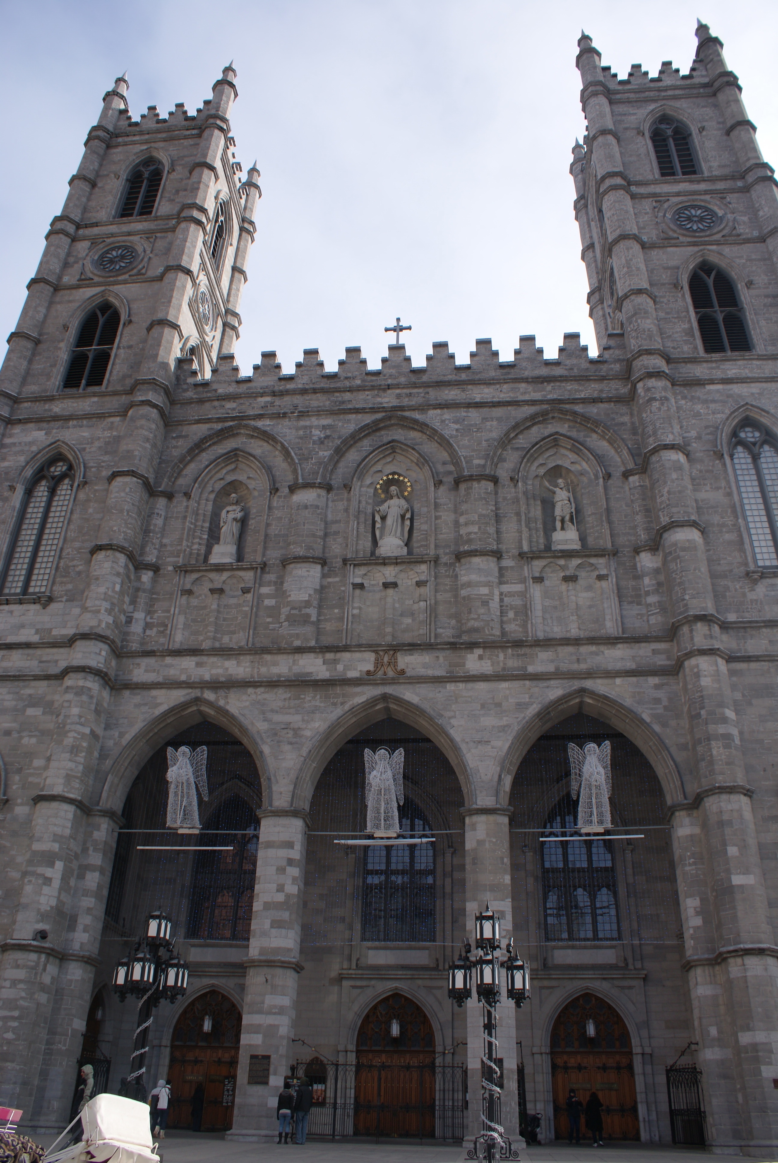 DSC01608.jpg