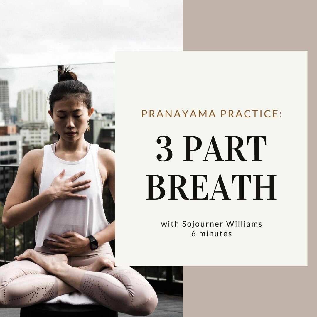 Pranayama: 3 Part Breath