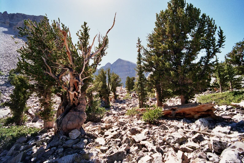 Photo by: James R. Bouldin