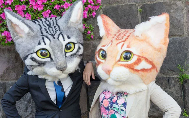 Feline Lovers Rejoice Enormous Wearable Cat Heads Are Now A Thing I Love Halloween