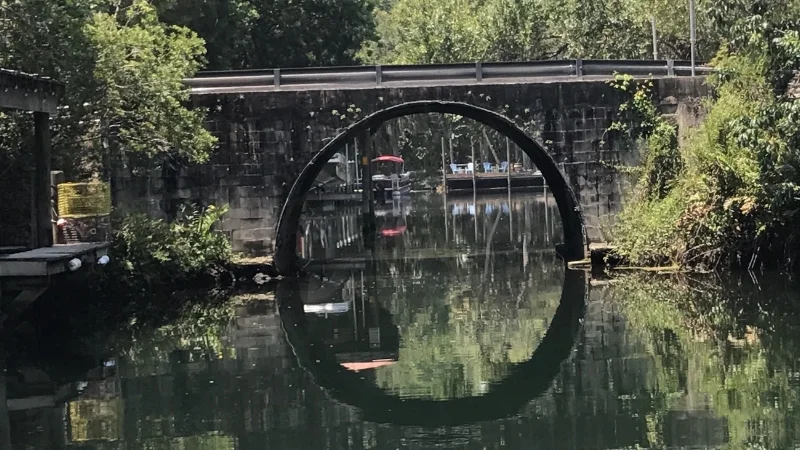 Homosassa River - Looking for Manatees