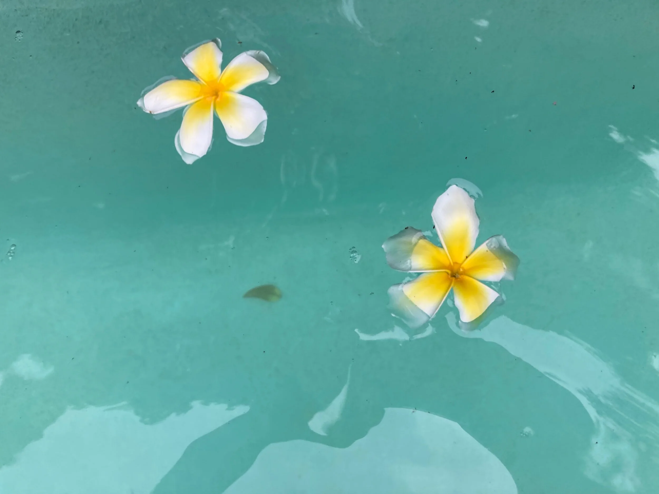 F964712E-10FD-4B34-B7E8-4D377CCA8650