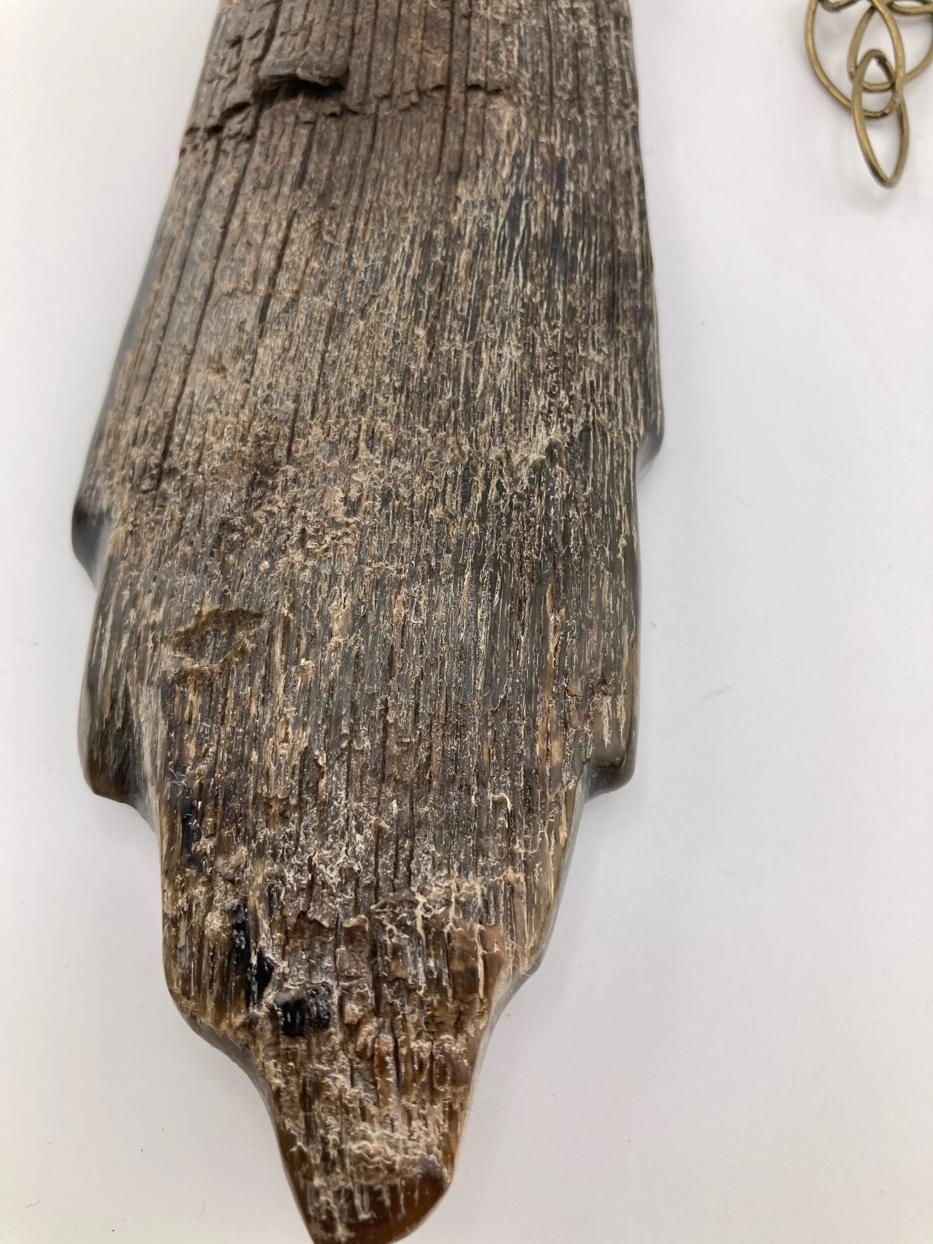 CEE77AD7-8D19-425A-B6F7-F00C66DD27B7