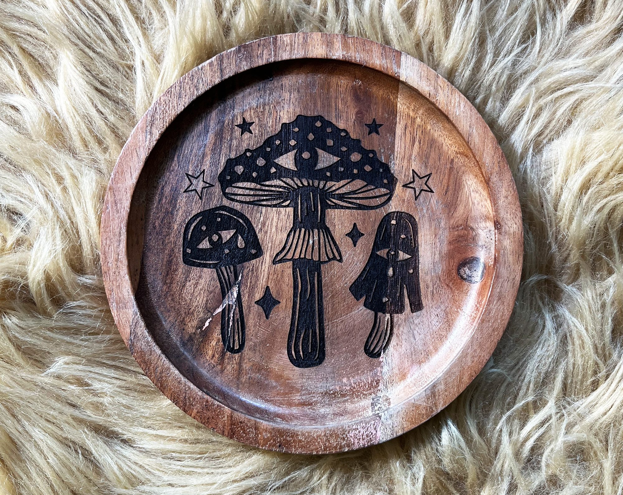 IWM_Plates_Mushroom_6x6_2000x2000.jpg