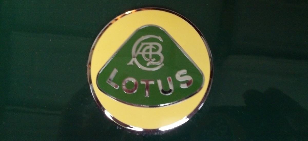 Lotus_2a.jpg