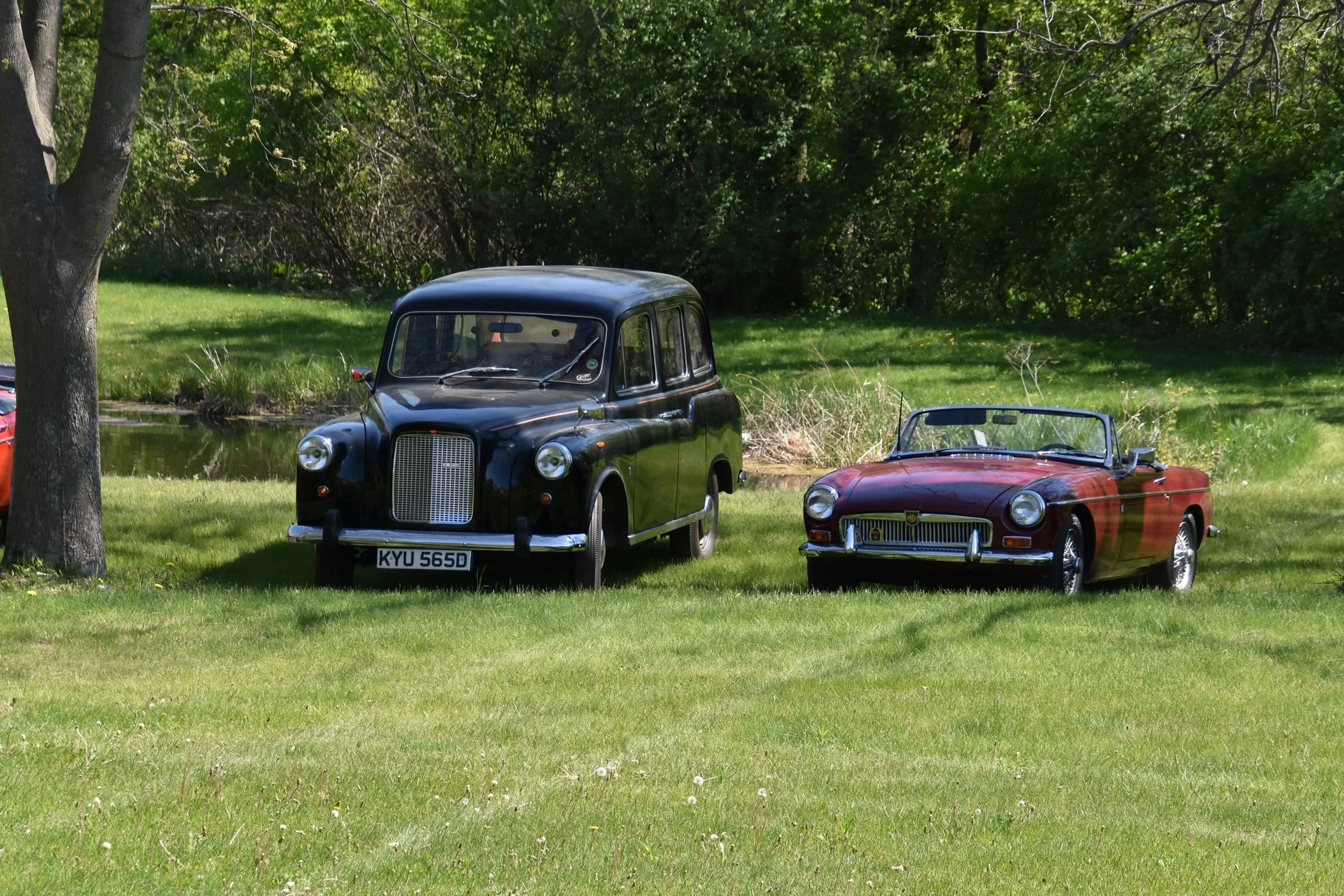 DSC_1784.JPG