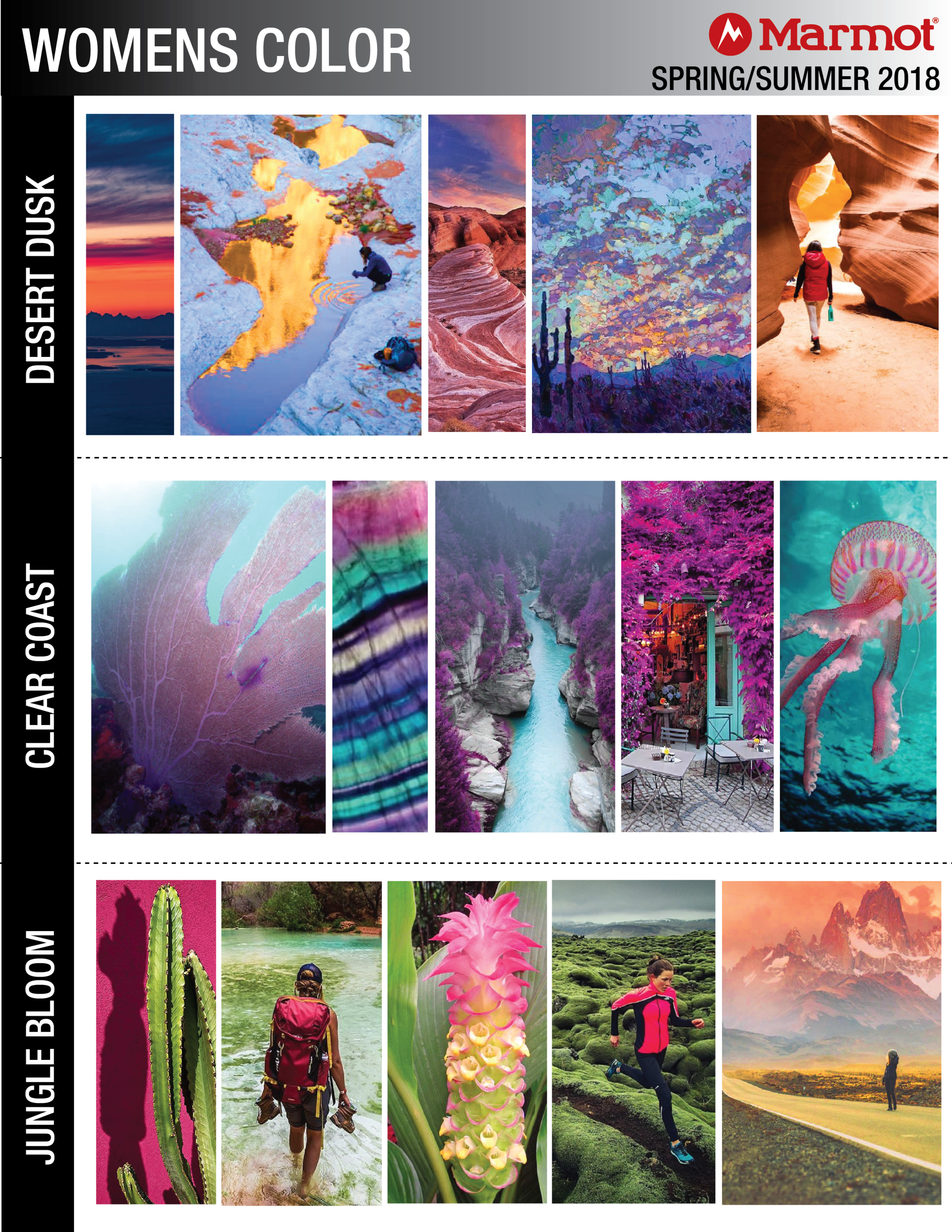 S'18 COLOR MERCH STORIES 12.8.16-01.png