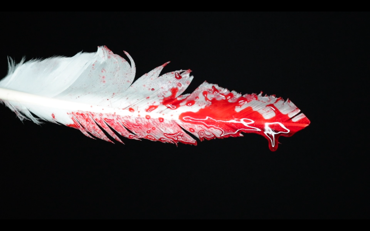 Screen Shot 2020-10-21 at 3.55.02 PM.png