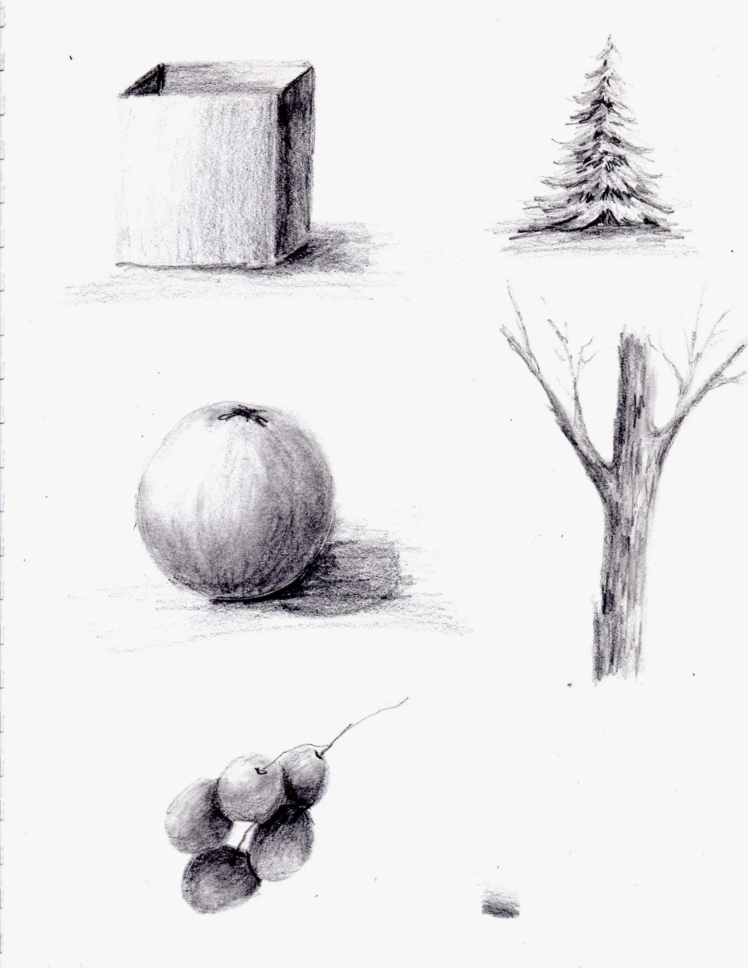 Shading examples 2.jpg