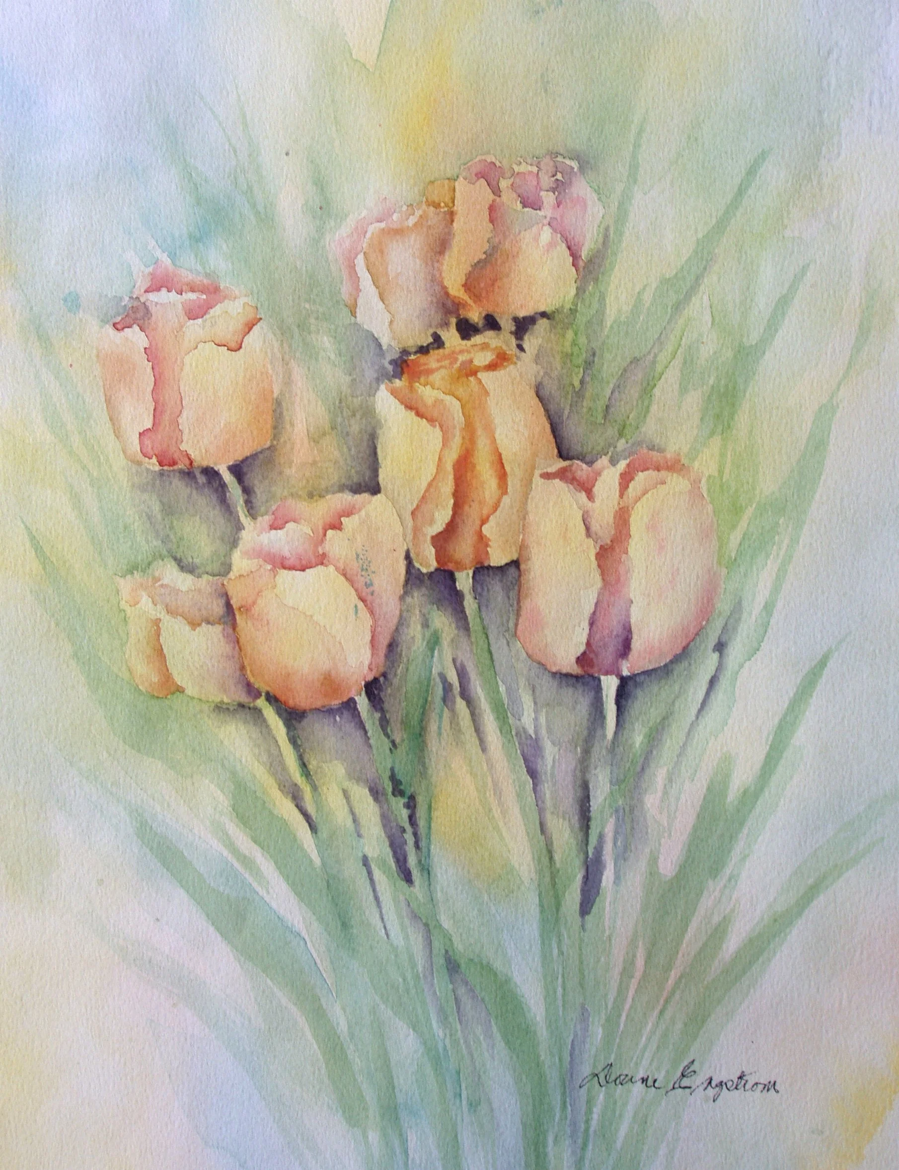 Tulips (2016_01_11 13_50_46 UTC).jpg