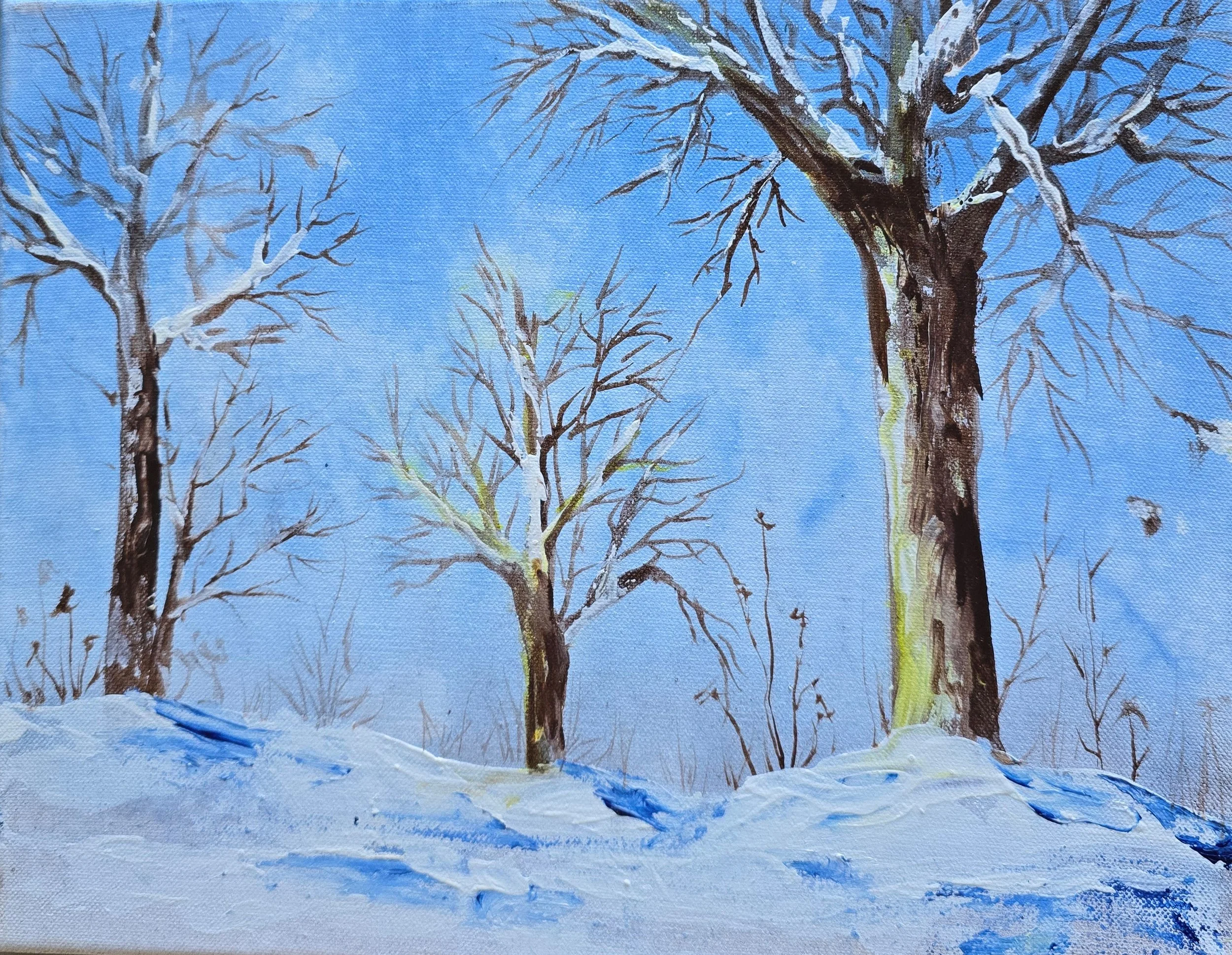 Winter Wonderland.jpg