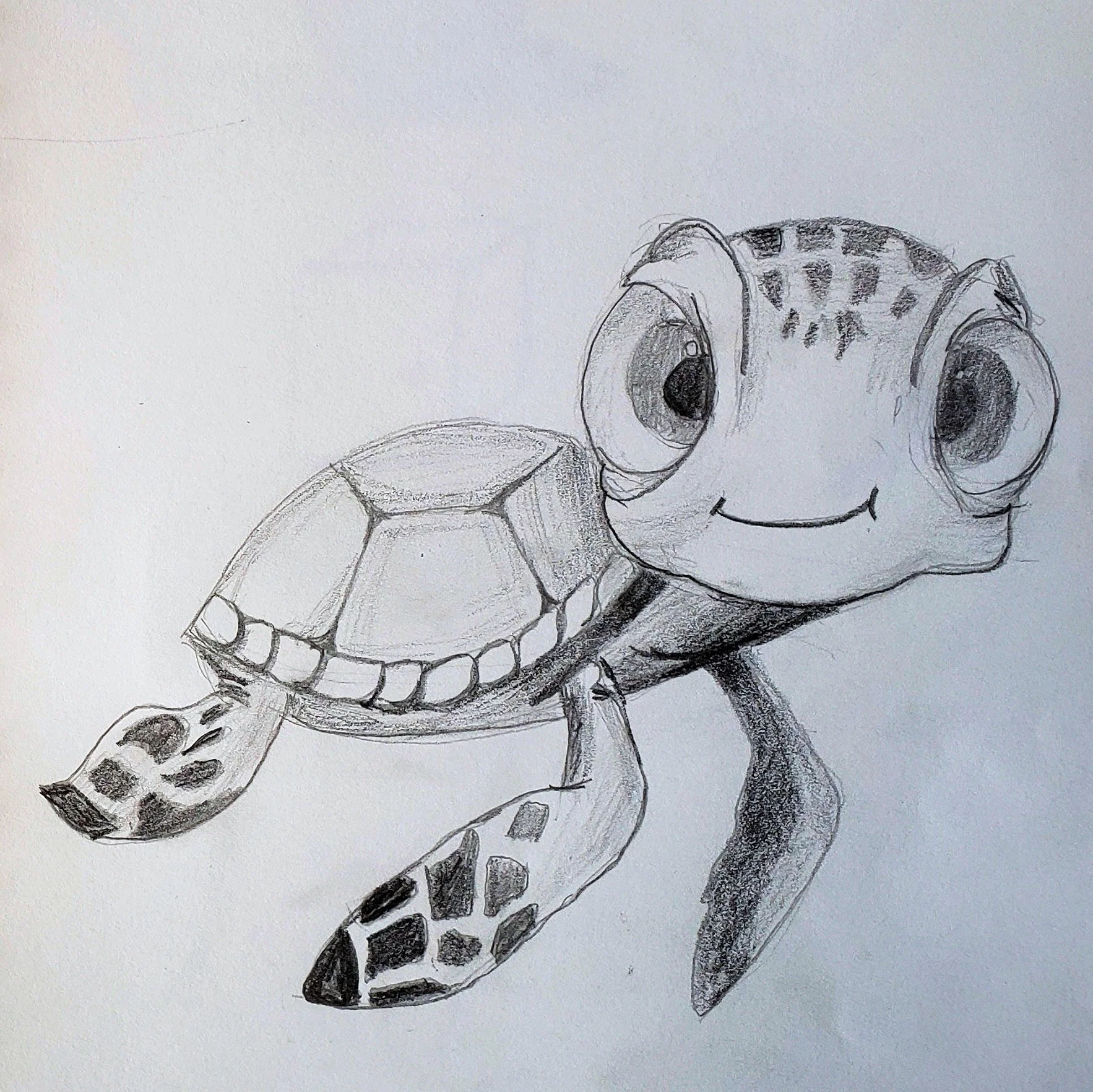 Drawing turtle.jpg