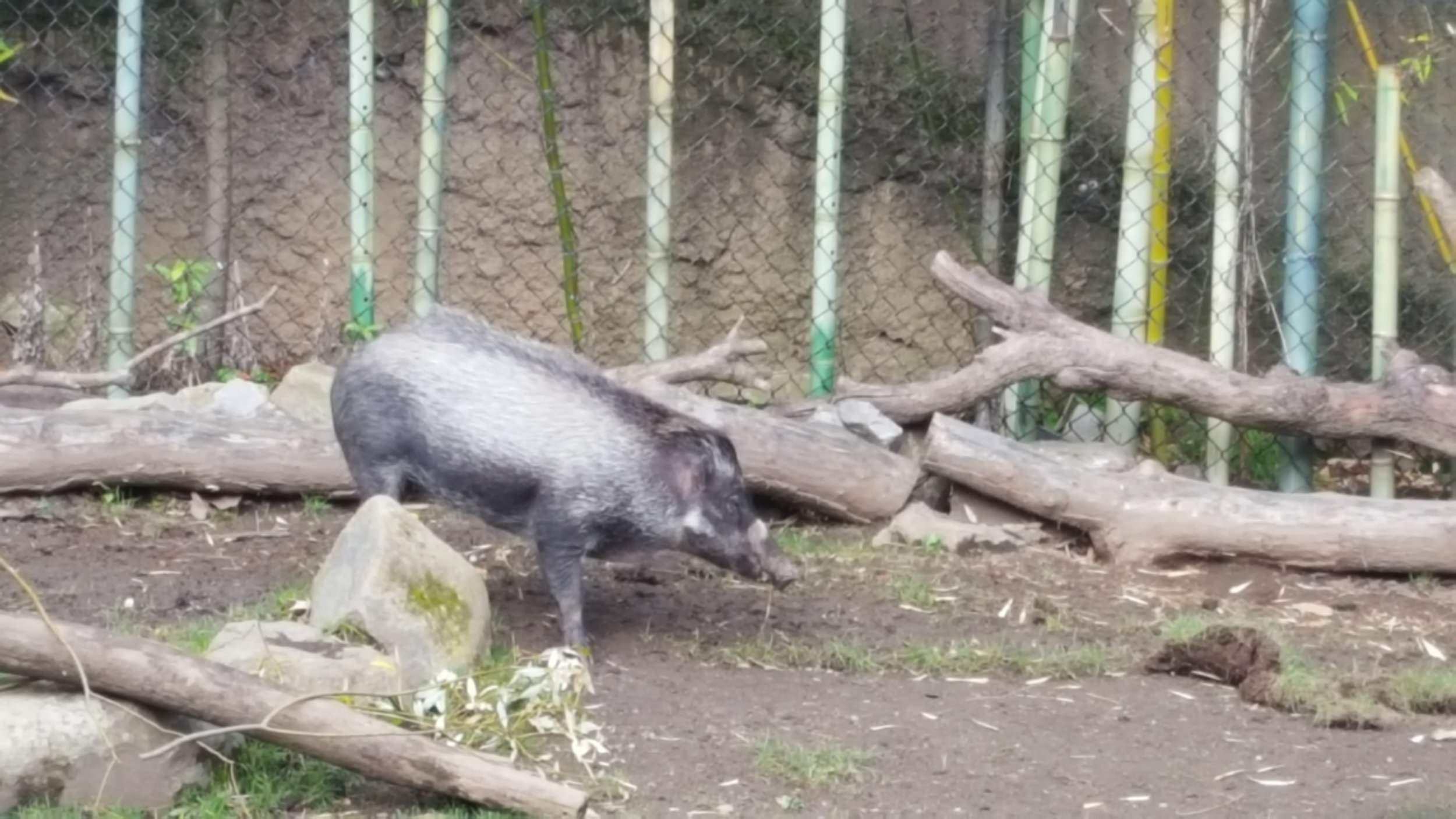 20161112_145314.jpg