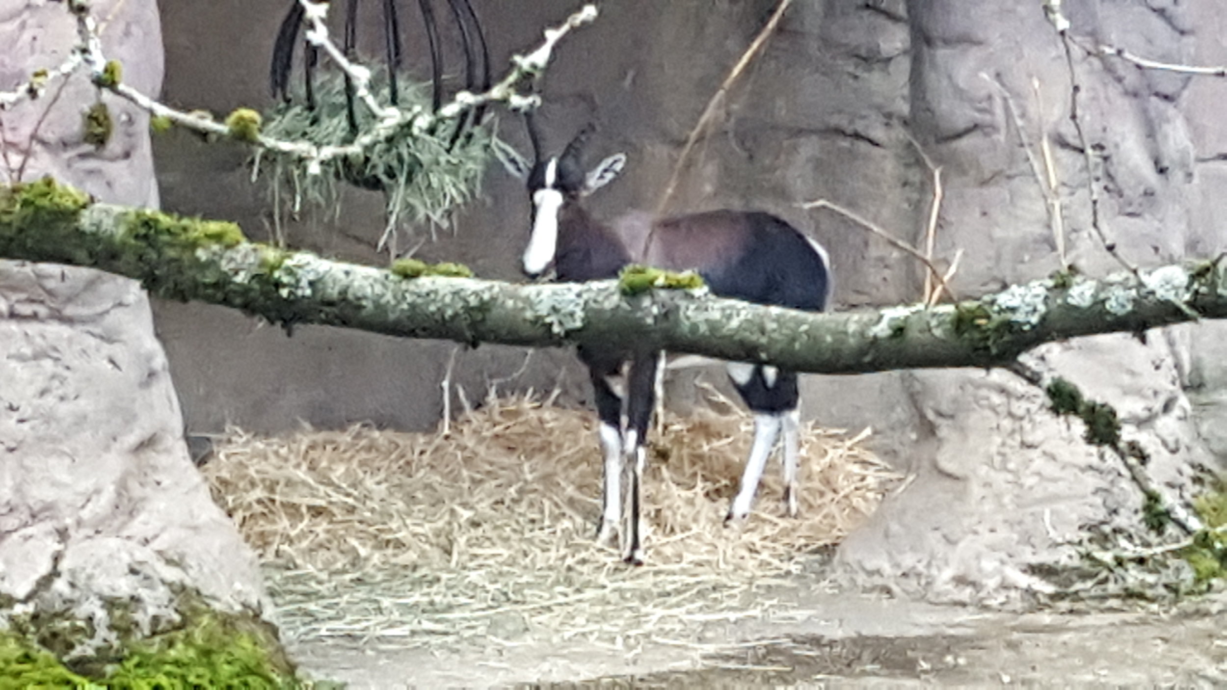 20161112_160201.jpg