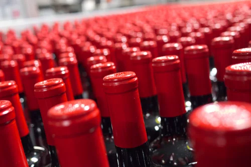 Top Grapes: Red, White, Sparkling and Spirited