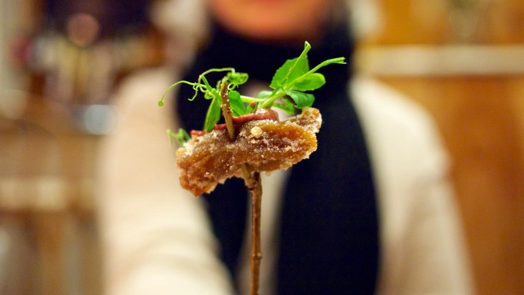 PawPaw Pop-Up: Perfection