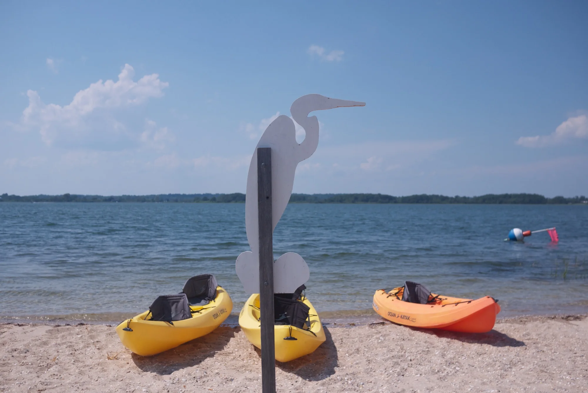 Summer's Top TEN Picks