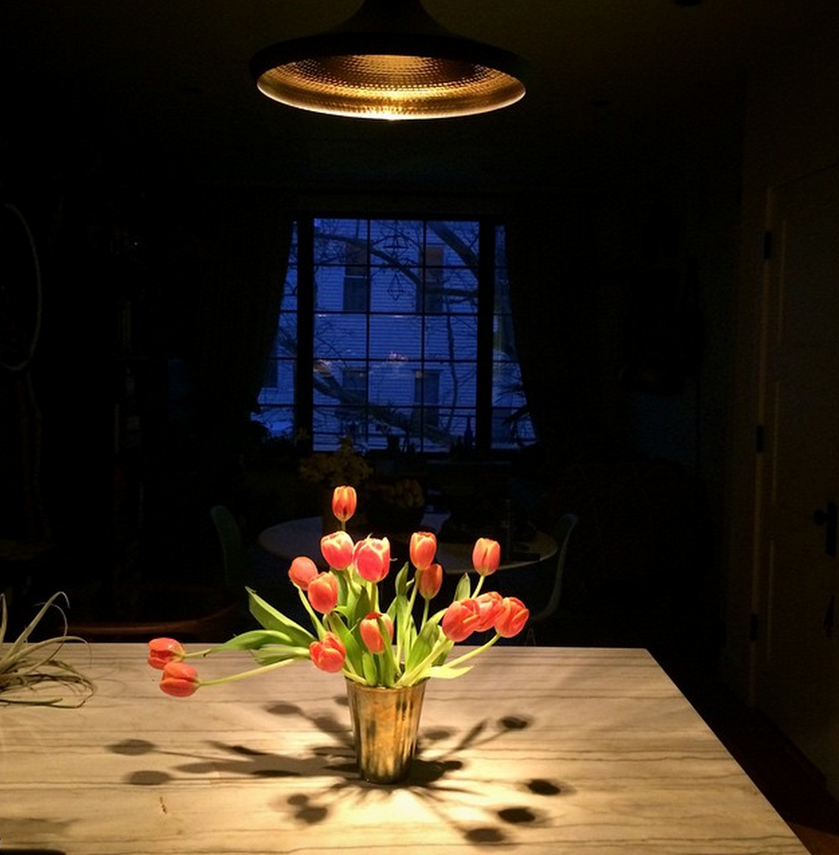 Tulip centrepiece