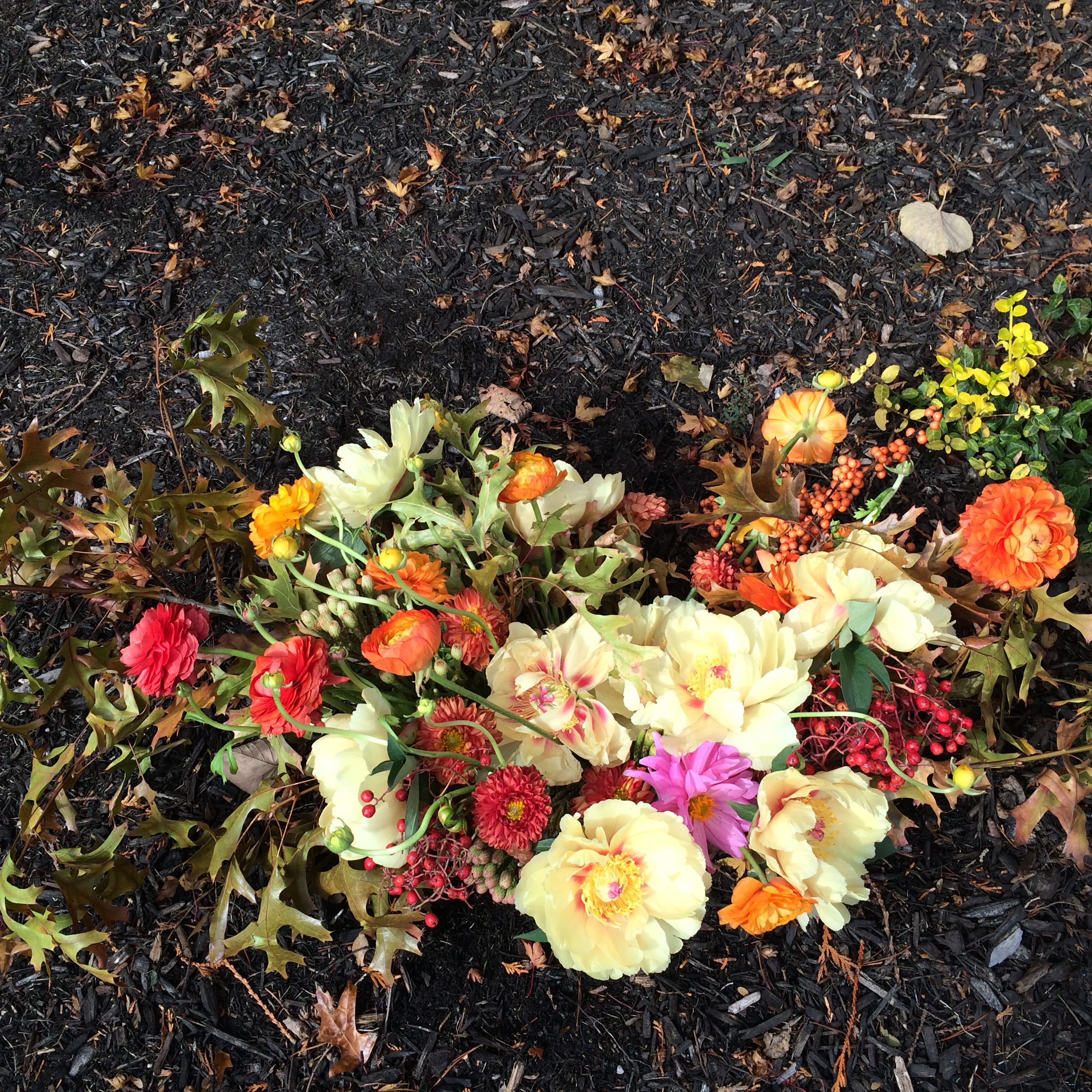 Centrepiece Microsoft TVC 2015