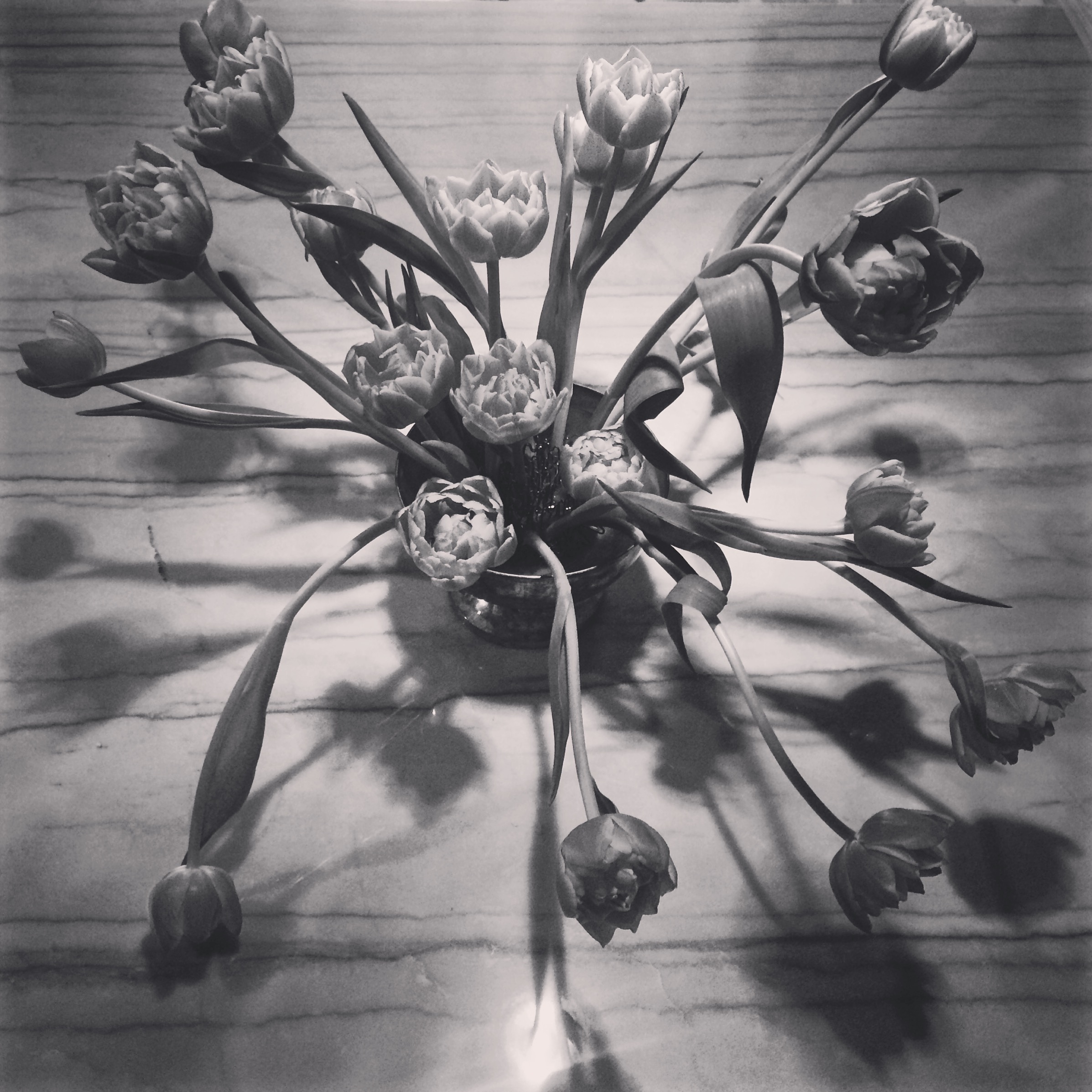 Medium Tulip arrangement