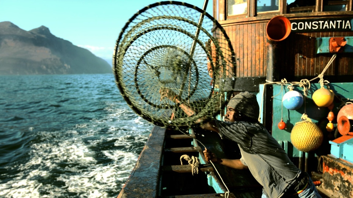 Production Design National Geographic