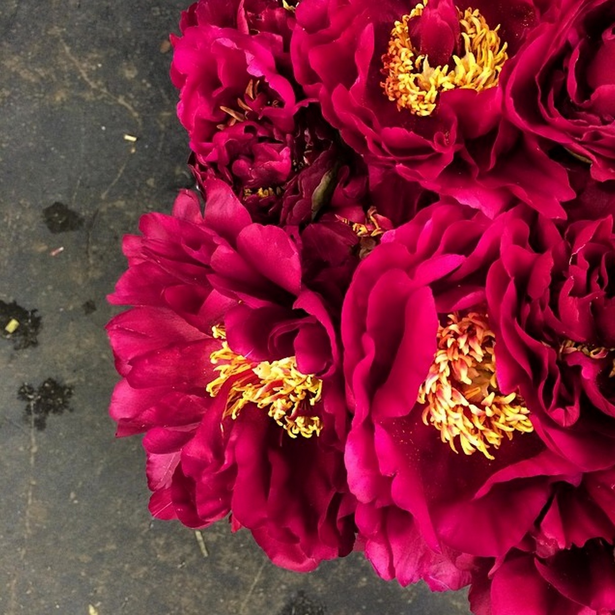 Floral design