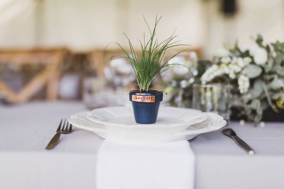 source: Wedding Bee
