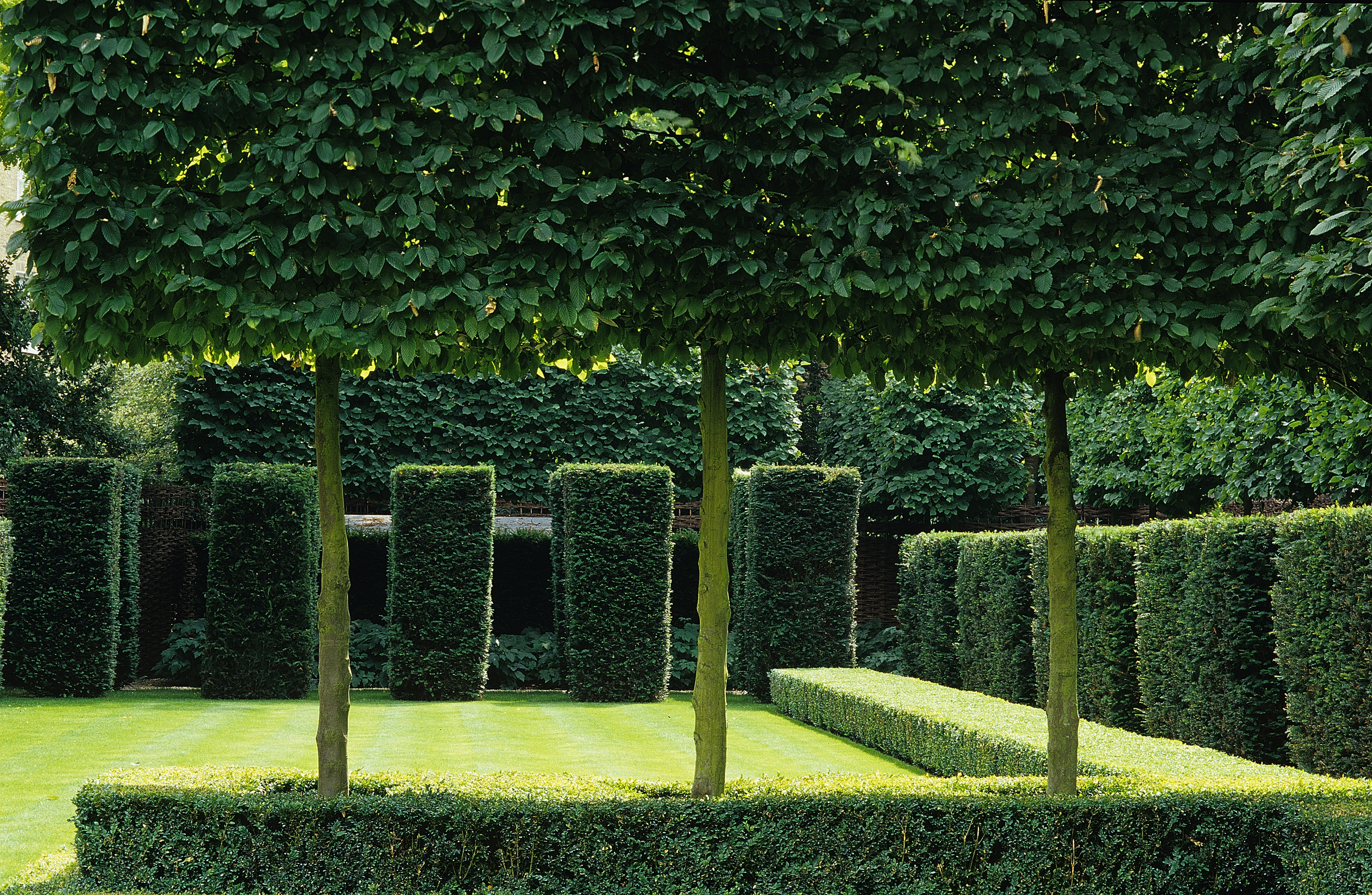 Luciano Giubbelei - The Boltons