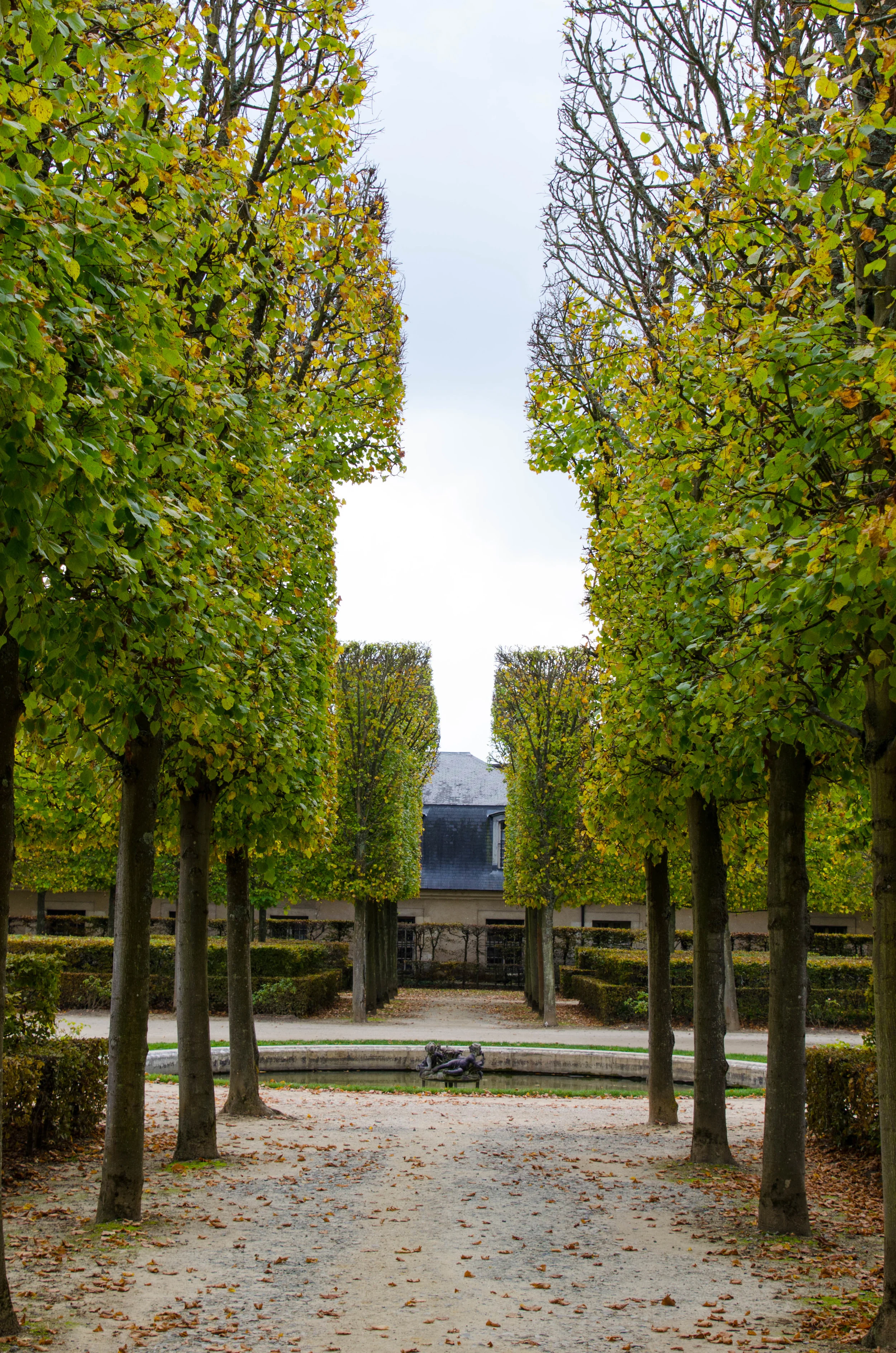 Versailles - photo by Sara Hruzek