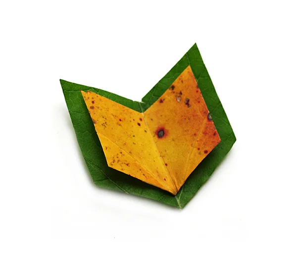 autumn-book-01.jpg
