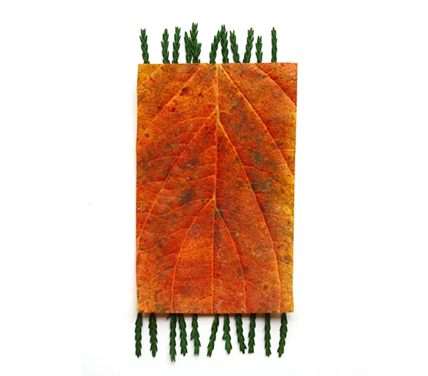 autumn-blanket-01.jpg