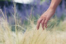 pasted-image-small-20.png