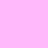 White-3.jpg