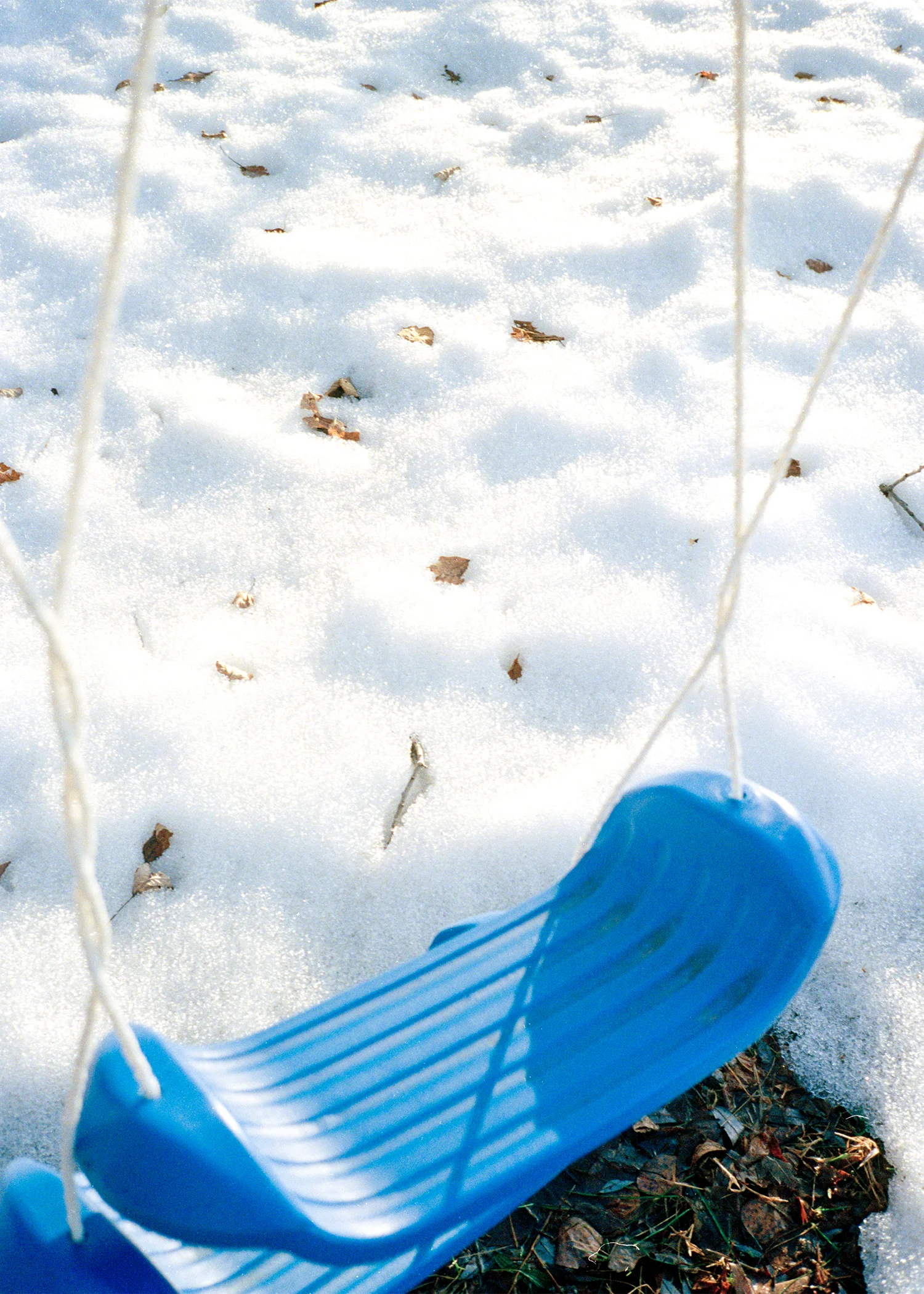 rossswing2 copy 2.jpeg