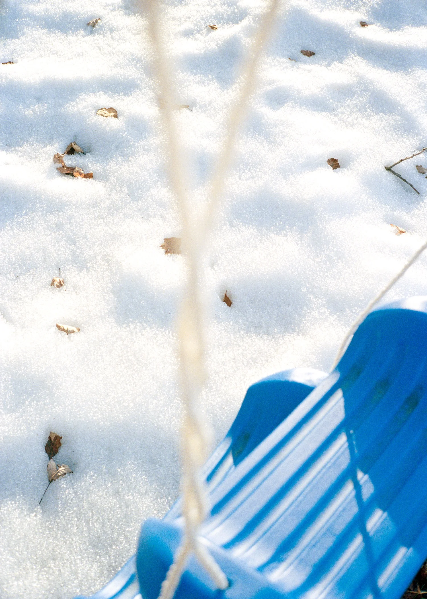 rossswing3 copy 2.jpeg