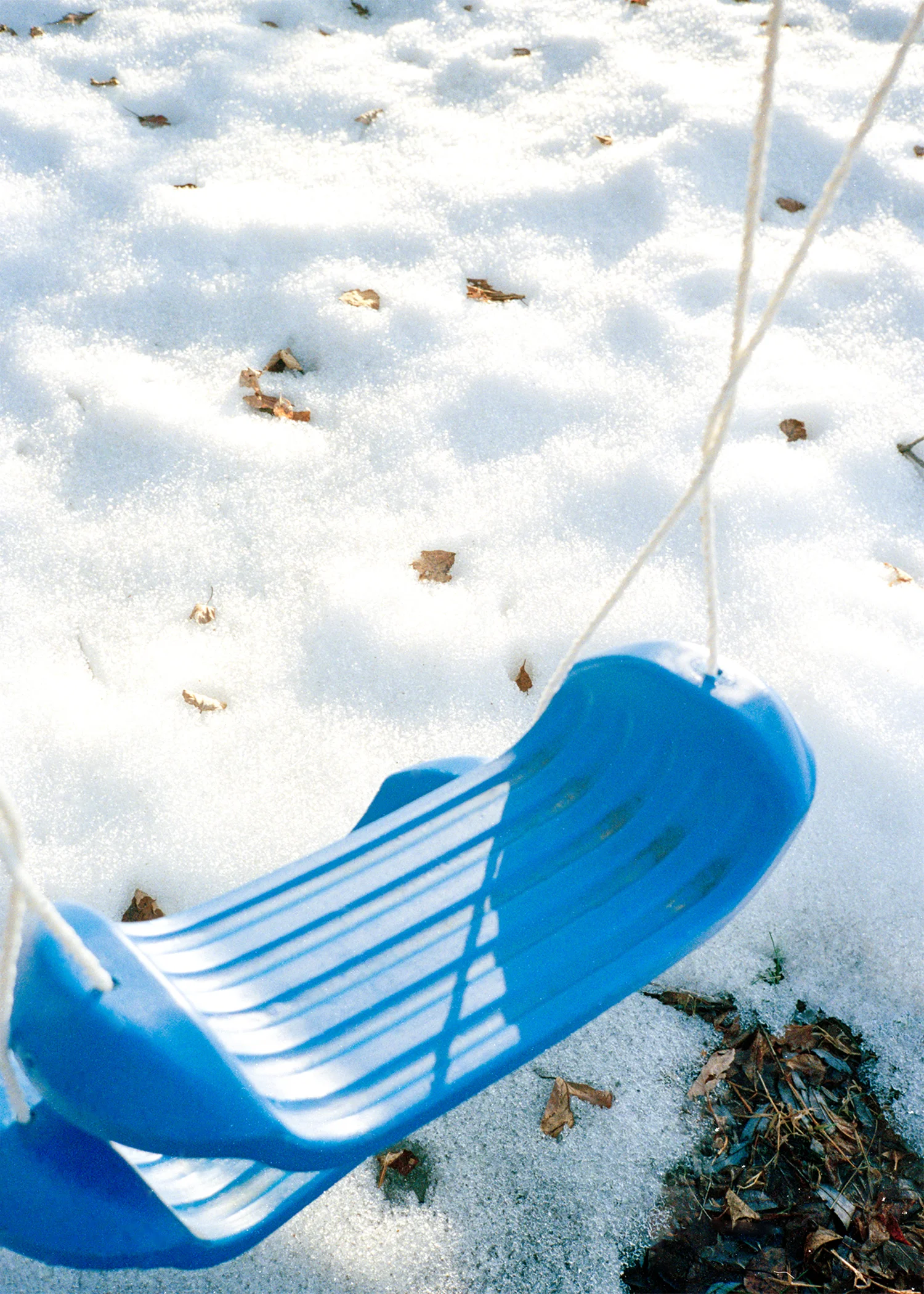 rossswing1 copy 2.jpeg