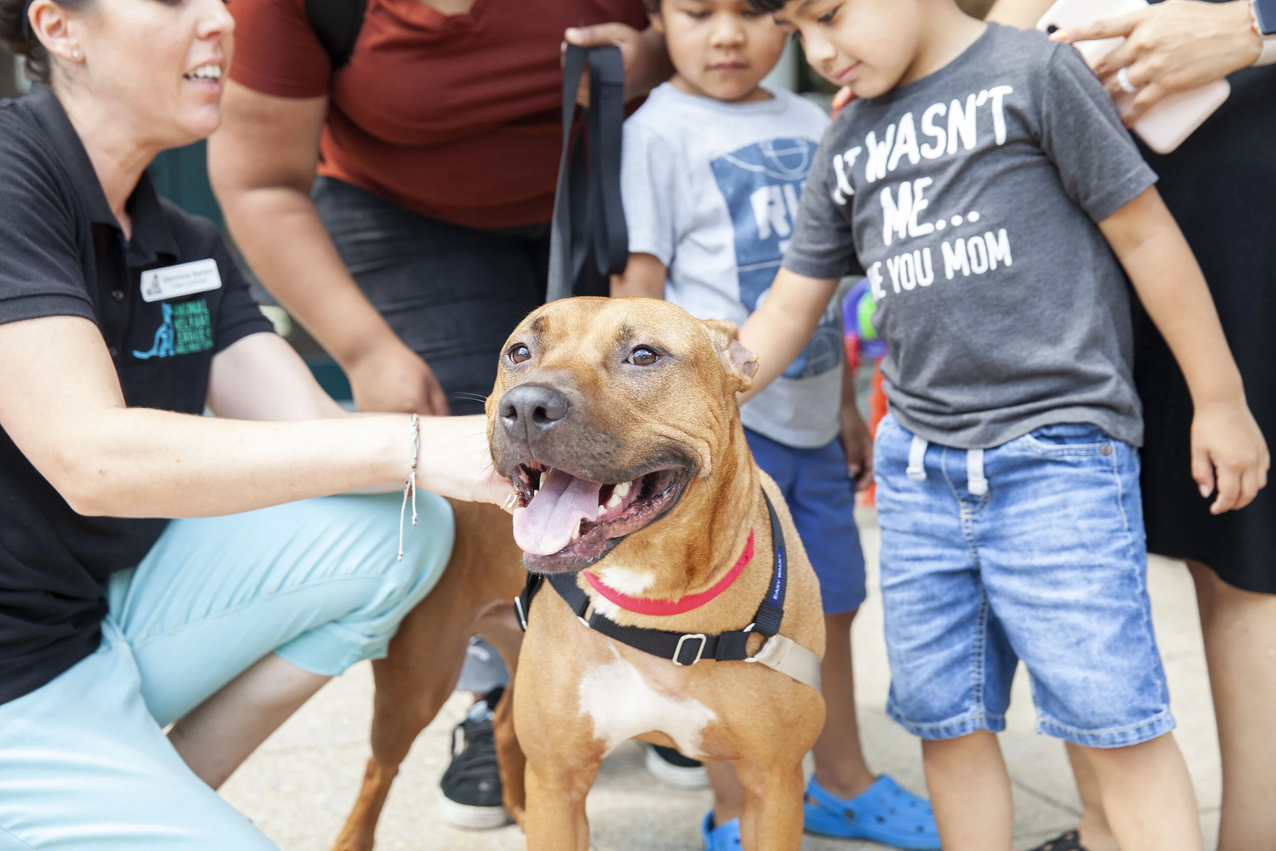 AWLA_ClearTheShelters_026.JPG