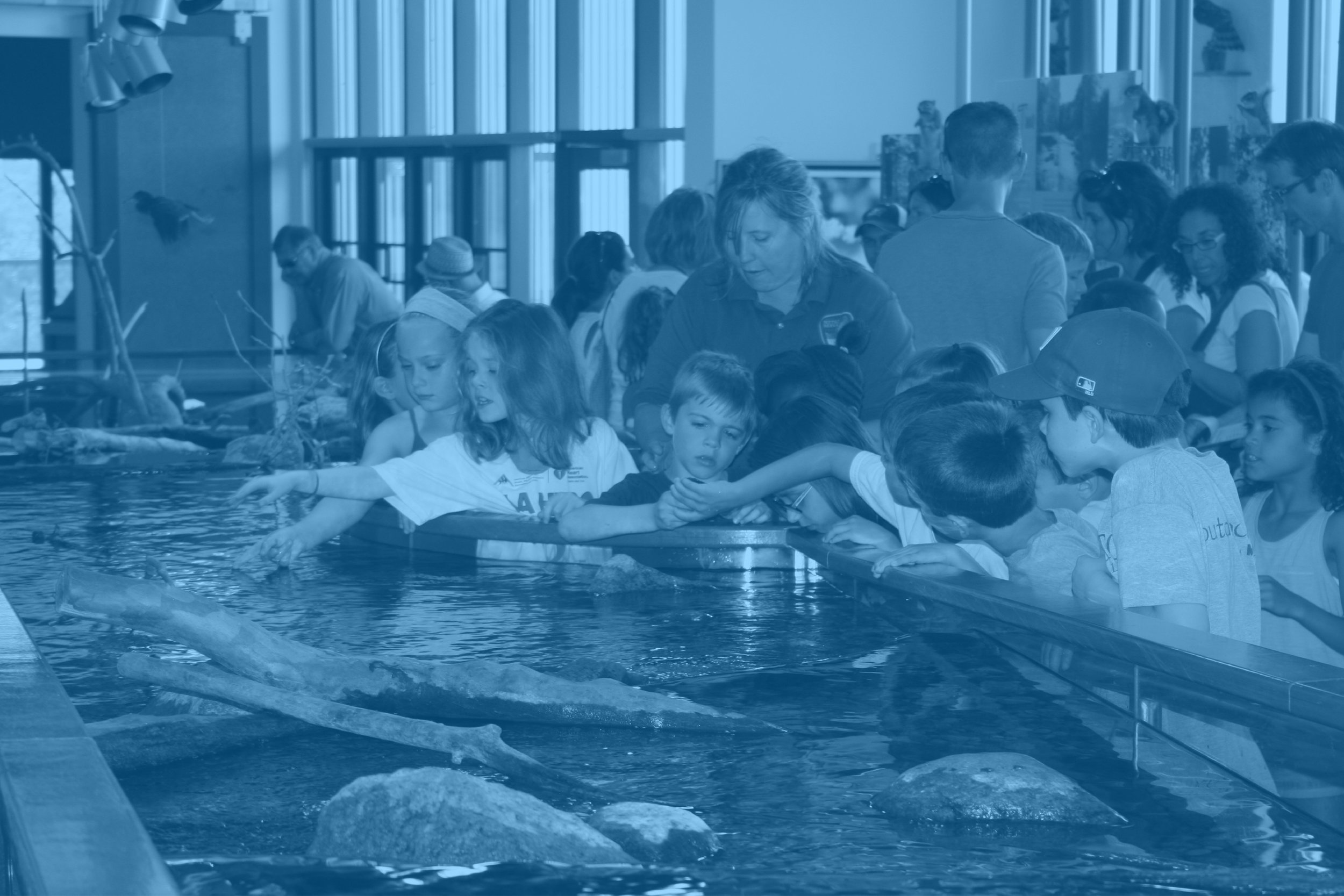 Interactive group exhibits