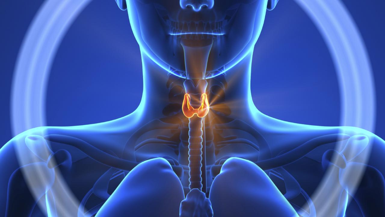 Top 5 Foods for Thyroid Health