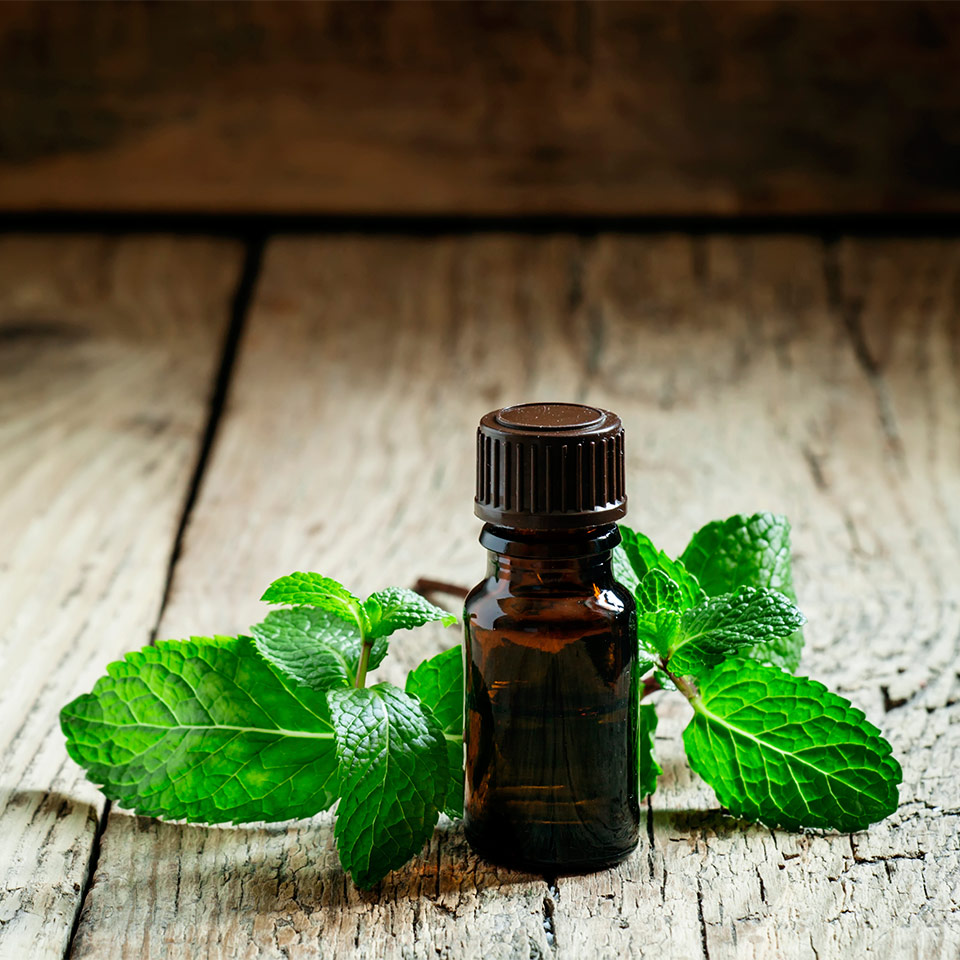 Peppermint Oil Promotes Hair Growth without Toxic Signs