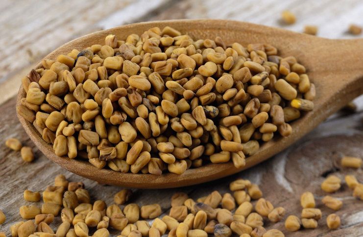 Fenugreek: Benefits & Uses