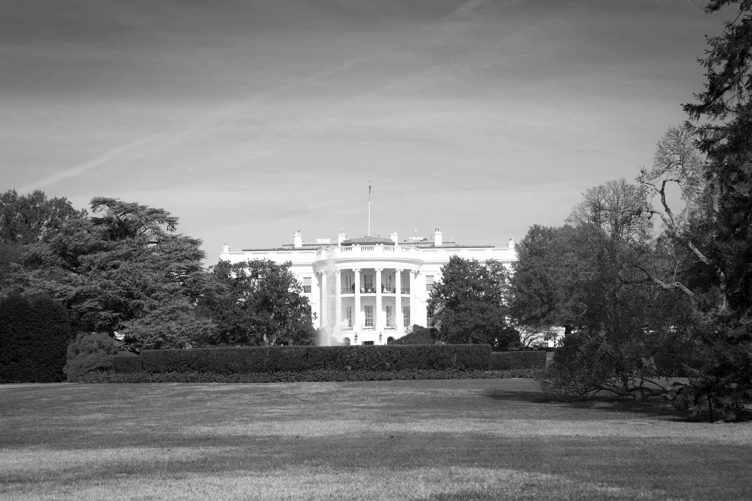 172B6460bw.jpg