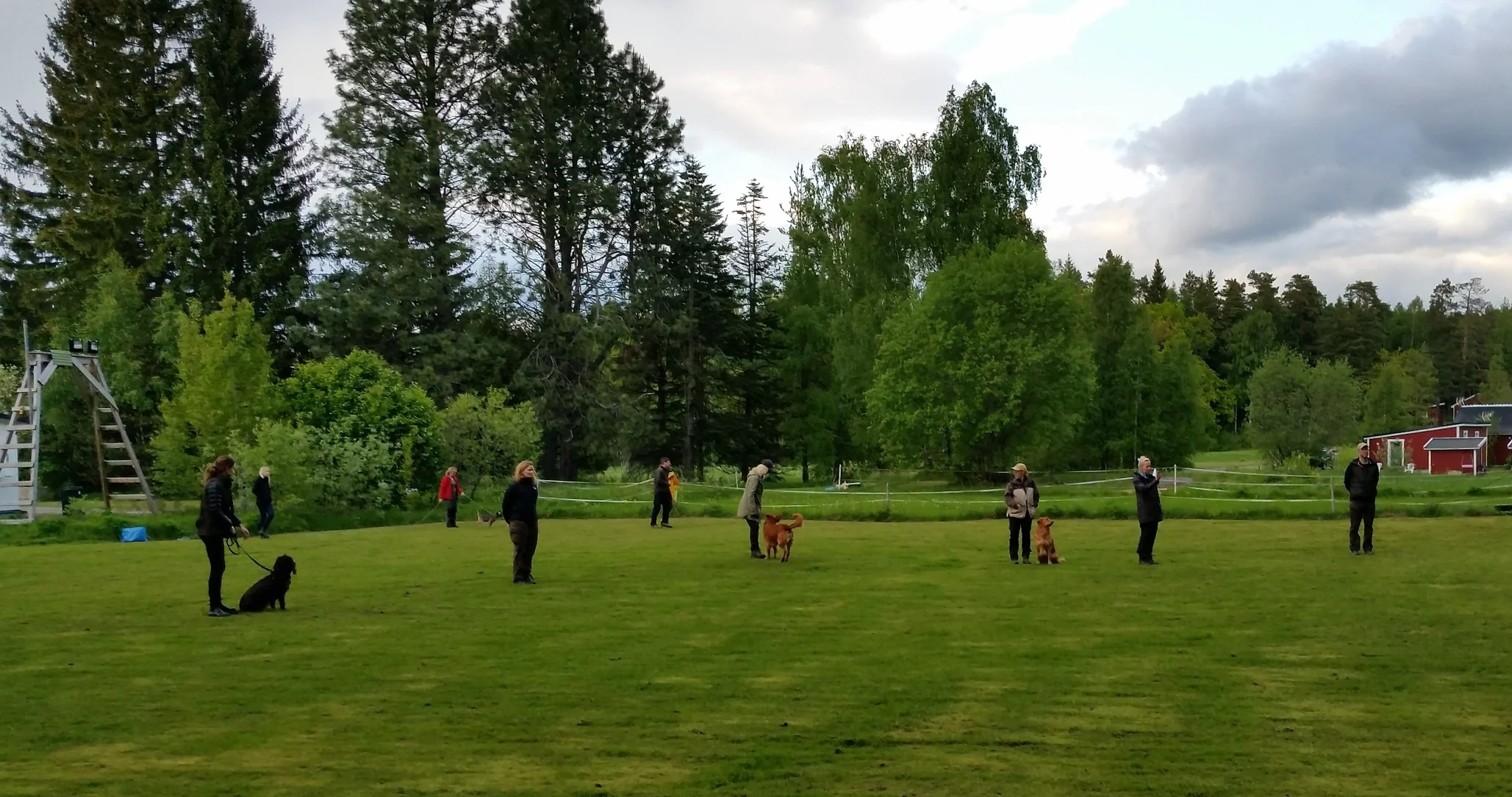 2015-05-26 19.56.23.jpg