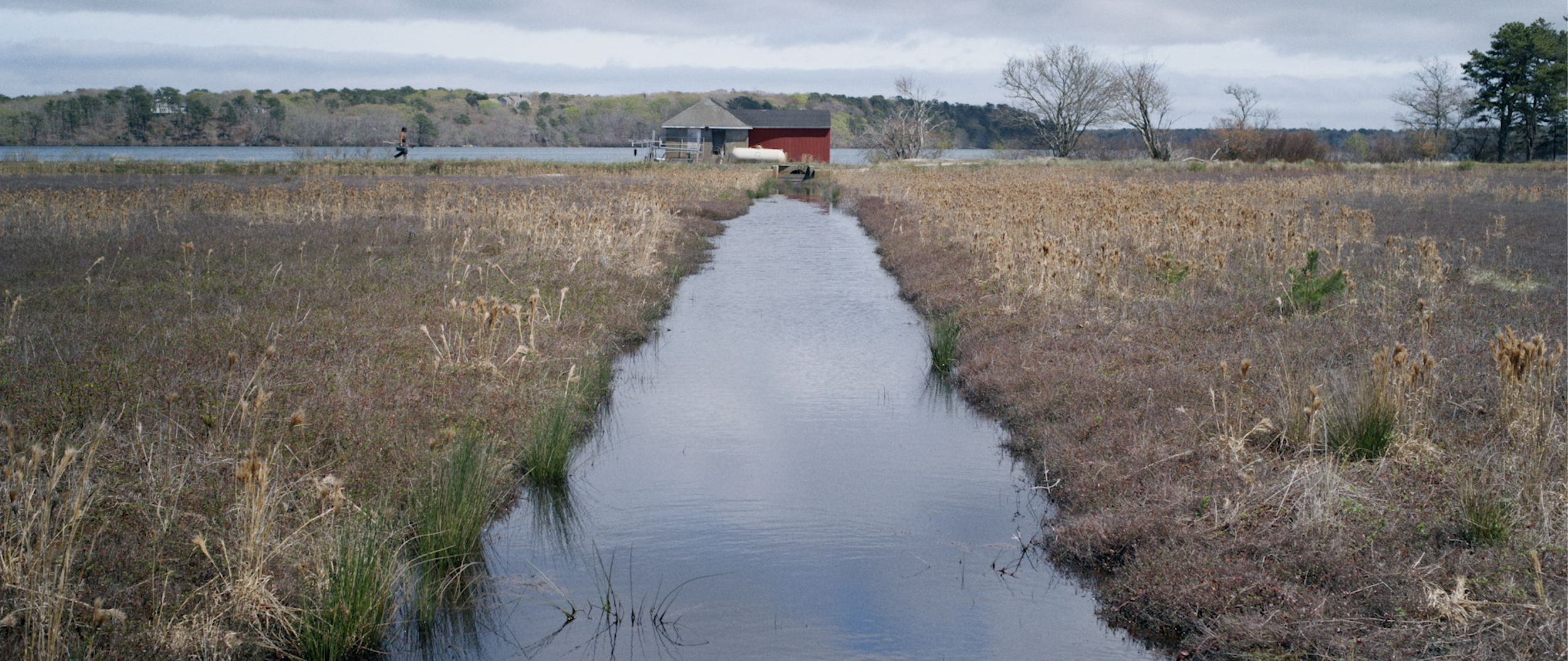 Screen Shot 2024-05-06 at 10.37.45 PM.png