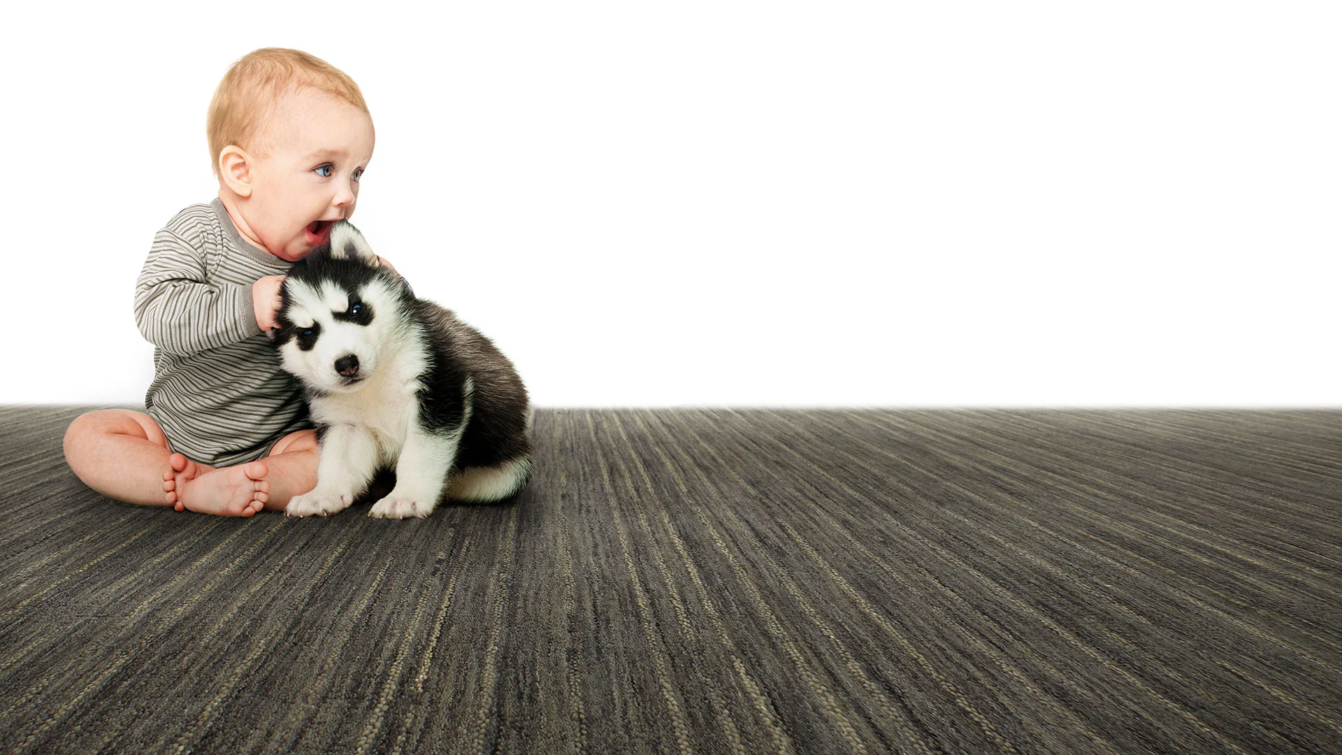 ew_header_baby_dog.jpg