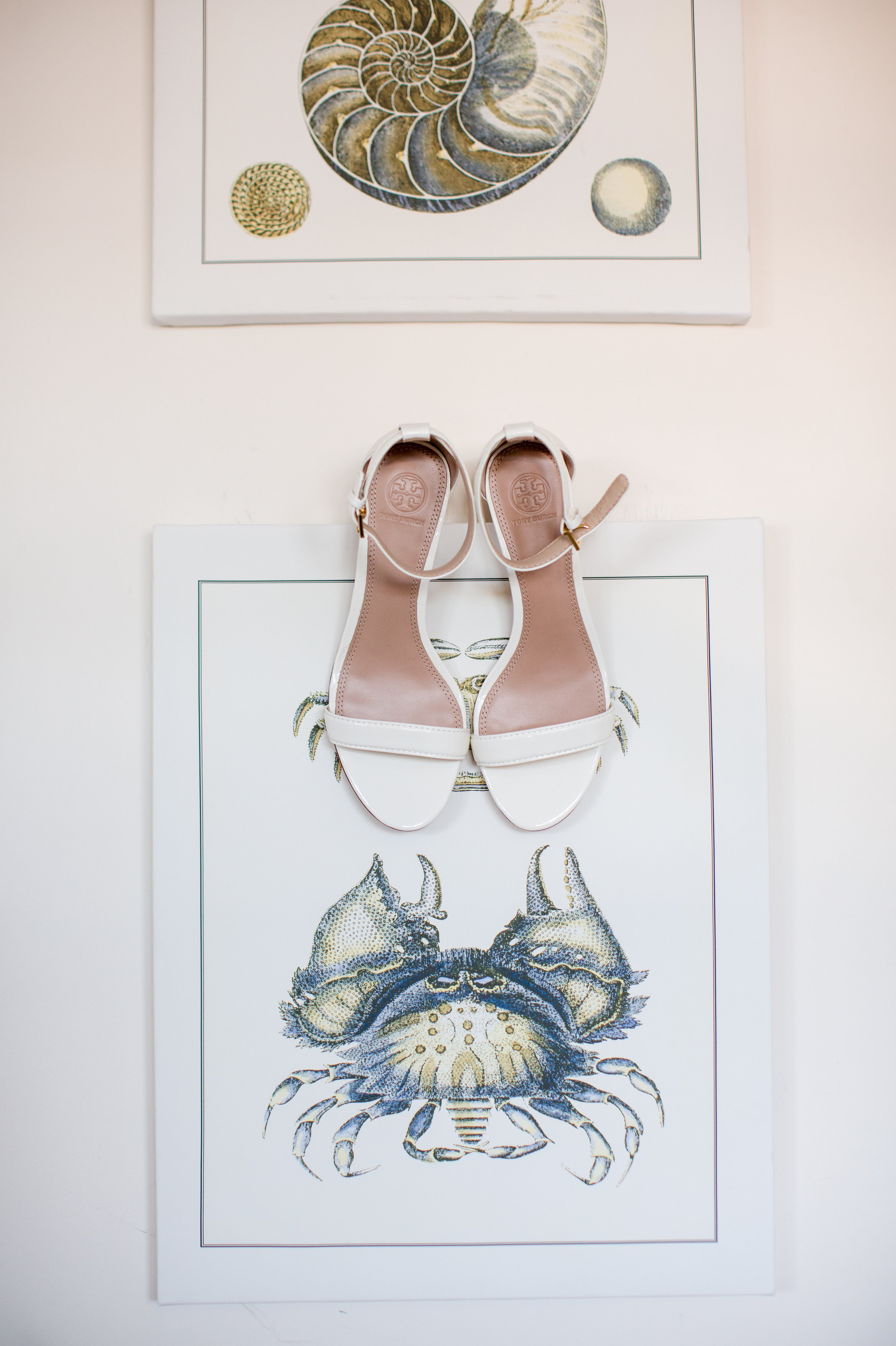 Photo Credit Melissa Robatti Photography