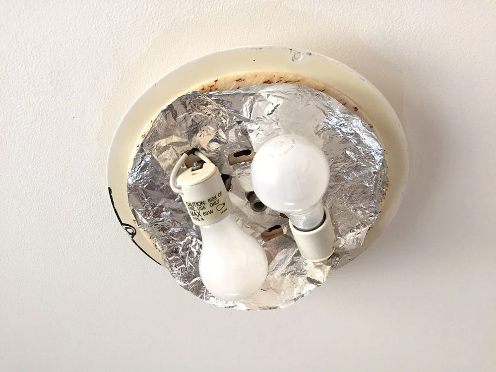 bulbs.jpg