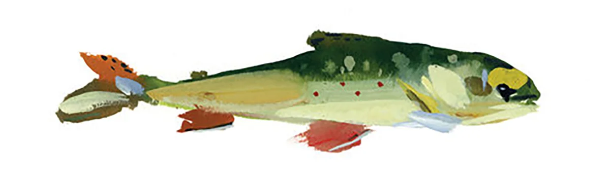 yellow-dot-brookie.jpg