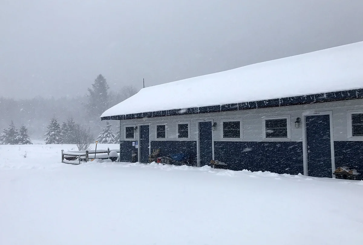 snow coming sideways.jpg